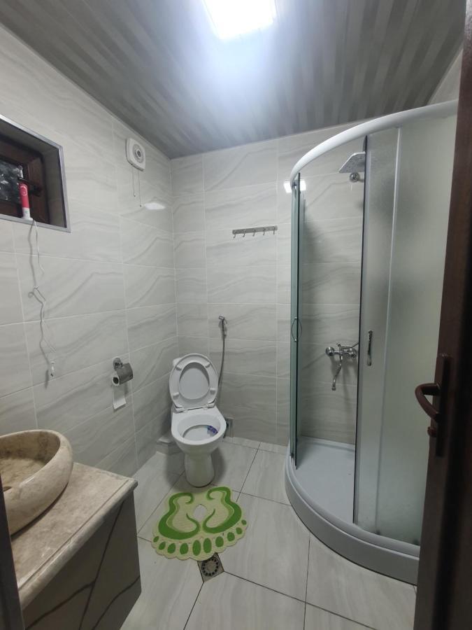 Gesh House Apartment Borjomi ภายนอก รูปภาพ